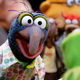 Gonzo.